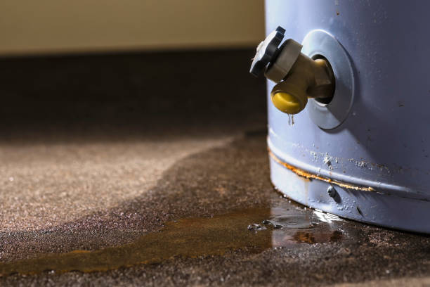 Best Water damage restoration near me  in Lenox, IA