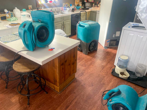  Lenox, IA Water damage restoration Pros