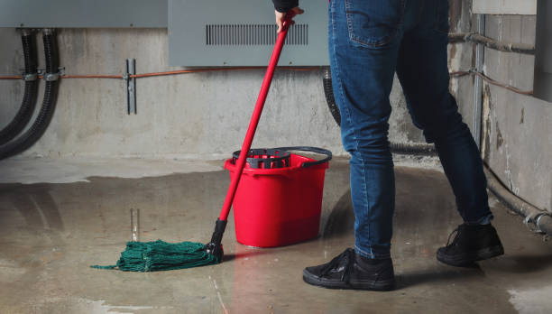 Best Flood damage cleanup  in Lenox, IA