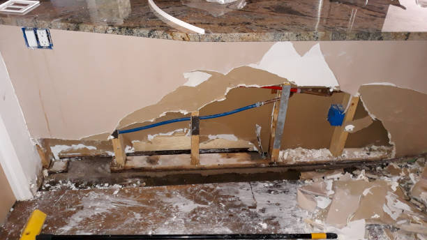 Best Flooded house restoration  in Lenox, IA