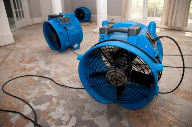 Best Fire Damage Restoration  in Lenox, IA