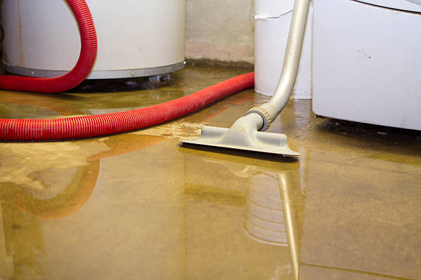 Best Local water damage restoration  in Lenox, IA