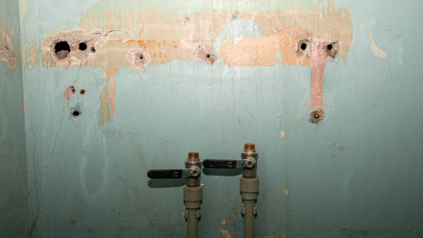 Best 24/7 water damage repair  in Lenox, IA