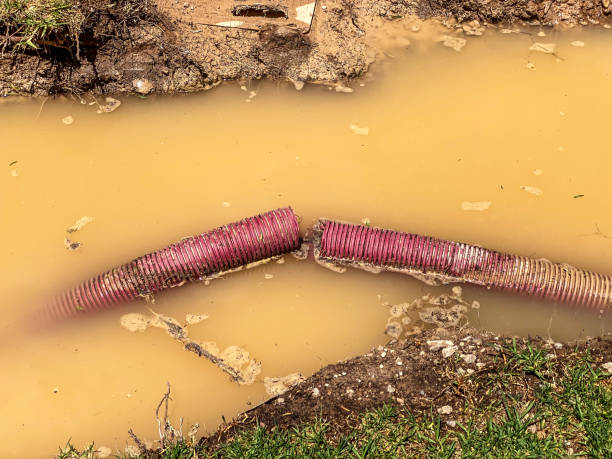 Best Basement water damage restoration  in Lenox, IA
