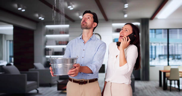 Best Basement water damage restoration  in Lenox, IA