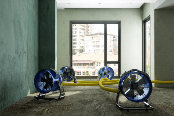 Best 24/7 water damage repair  in Lenox, IA